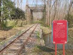 -合肥滨湖国家森林公园