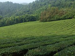 -敬亭山风景名胜区