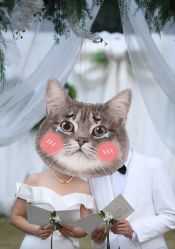 -金夫人婚纱摄影(总店)