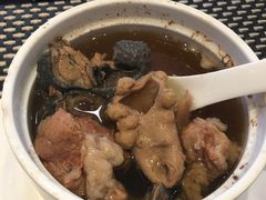 灵芝乌鸡炖羊胎-新兴·金羊座·粤菜点心(乐峰店)