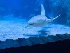 -左海海底世界