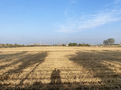 -嘉北郊野公园