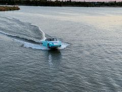 -荷兰花海