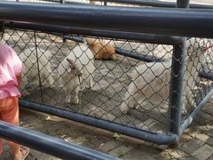 -长白岛森林公园