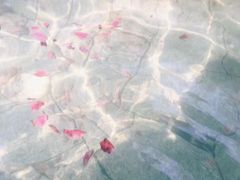 -威海天沐度假区温泉