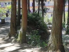 -山王坪喀斯特国家生态公园