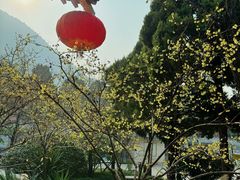 -华清宫景区