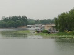 -大兴滨河森林公园