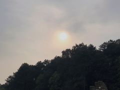 -铁山坪森林公园