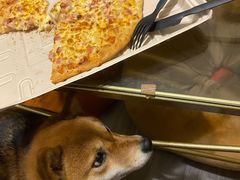 -Tubestation站点比萨(五道营店)