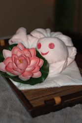 -娇玫荟SPA