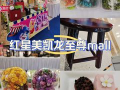 -红星美凯龙北京至尊MALL(东四环中路店)