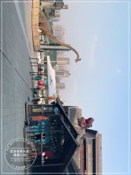 -恐龙探索乐园(磁器口店)