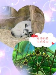 -宝燕乐园(闵行旗舰店)