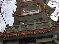-三门江国家森林公园