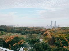 -龙阳路磁悬浮列车总站-停车场