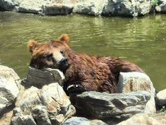 -北京野生动物园