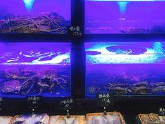 水产区-小海丁