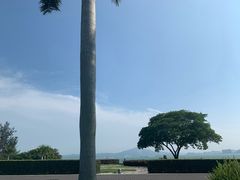 -黄金海岸环岛路