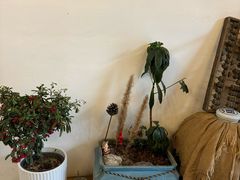 -山也·私厨(岳麓店)