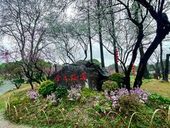 -无锡梅园公园