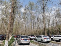 -黄海国家森林公园