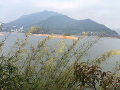 景点-广州市流溪河国家森林公园
