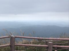 -大围山国家森林公园