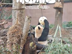 -杭州动物园