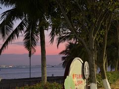 -万绿园