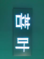 -菩叶脱发白发中心