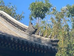 -莲池书院博物馆