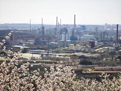 -白水寺森林公园