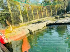 -上海野生动物园