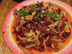 -柴窝堡22号辣子鸡·传承新疆菜