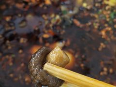 香菇-黑竹香鸡(营和巷店)