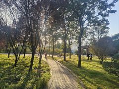 -西苑公园