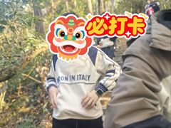 -桃花岭景区