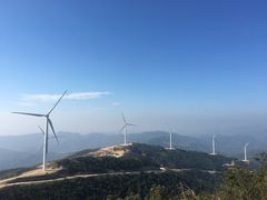 -盐洲岛