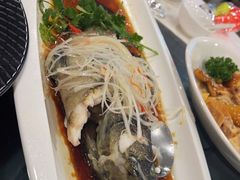 -上海波特曼丽思卡尔顿酒店