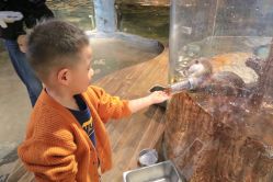 -Zoolung Zoolung动物主题公园(海信广场店)