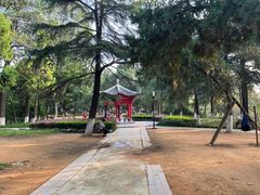 -沙市市中山公园