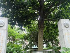 -广州神农草堂中医药博物馆