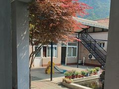 -遇见小院—虹鳟鱼•农家菜(怀柔店)