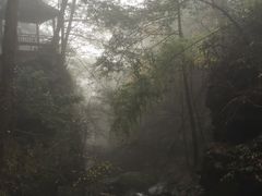 -藏龙百瀑风景区