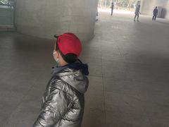 -证大喜玛拉雅中心