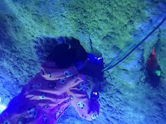 -泰安地下龙宫景区