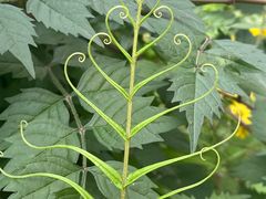 -趣多多宠物公园·宠物训犬学校·宠物寄养