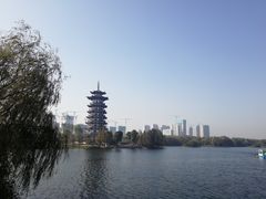 -洋湖国家湿地公园