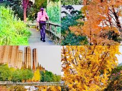 -成都市活水公园
